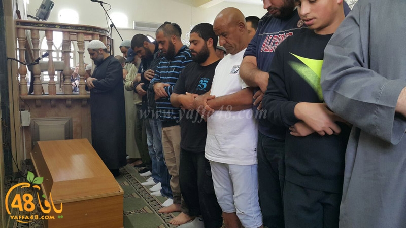 tasheye3 dakkej (9).JPG